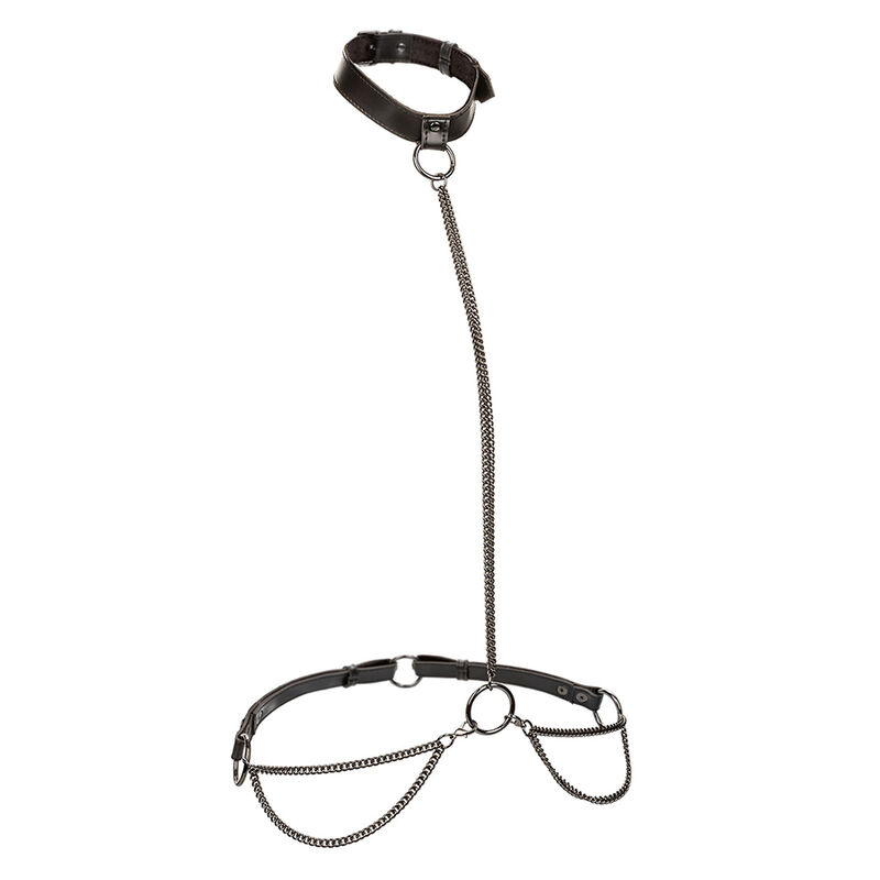 CALEXOTICS - EUPHORIA COLLAR HALTER Y CORREA CON CADENA - Imagen 2